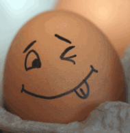 �_���f�B�n�E�X���s�̓R�R�������I